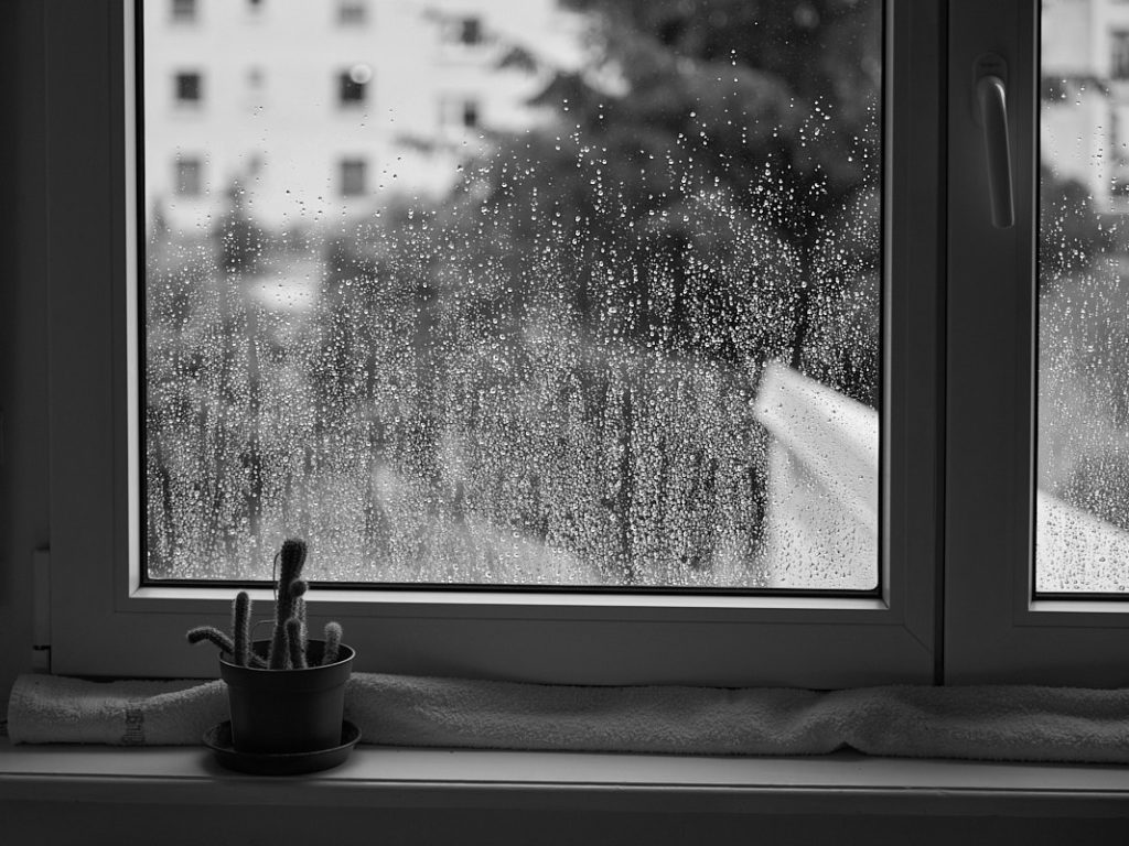 Regenfenster