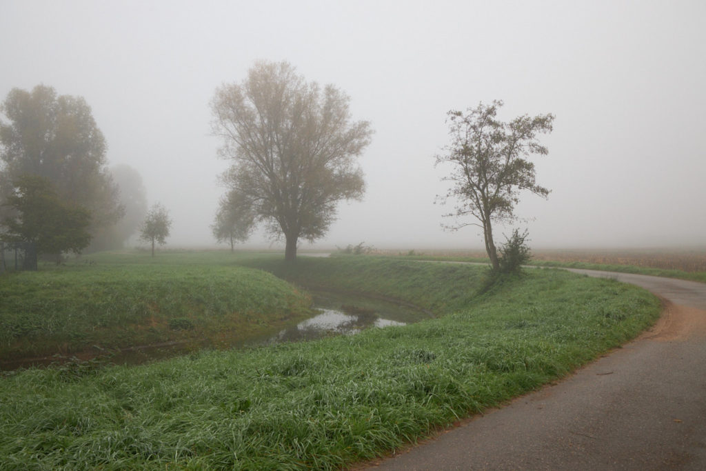 Nebel_Oktober7