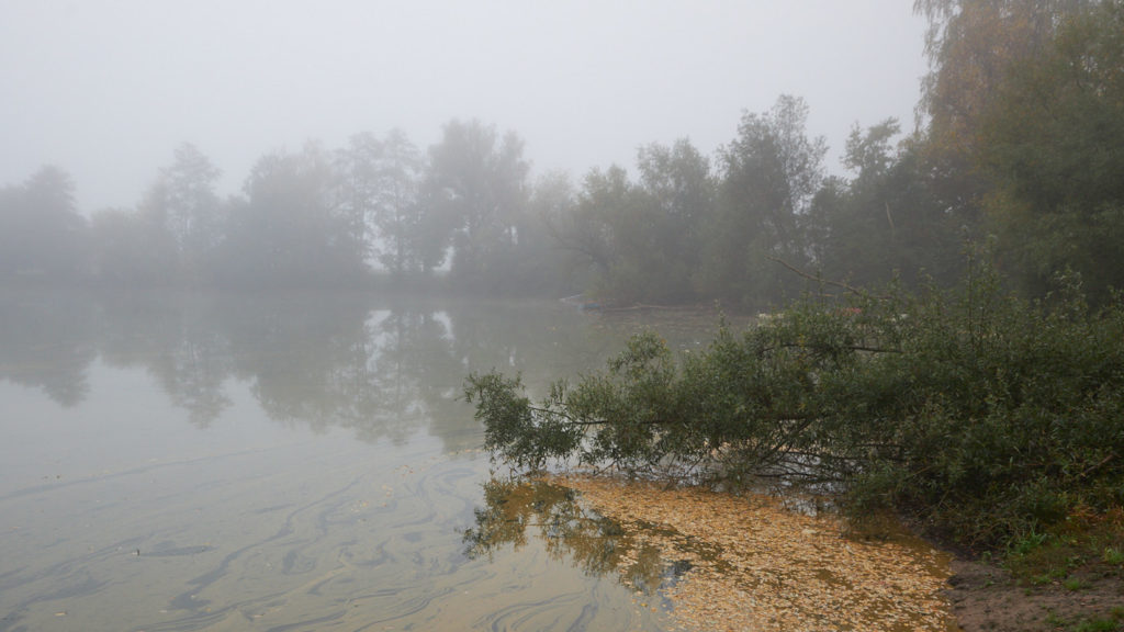 Nebel_Oktober9
