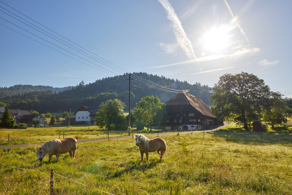 Nordrach