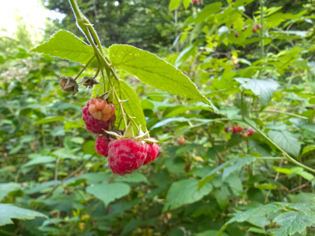 Talsperren