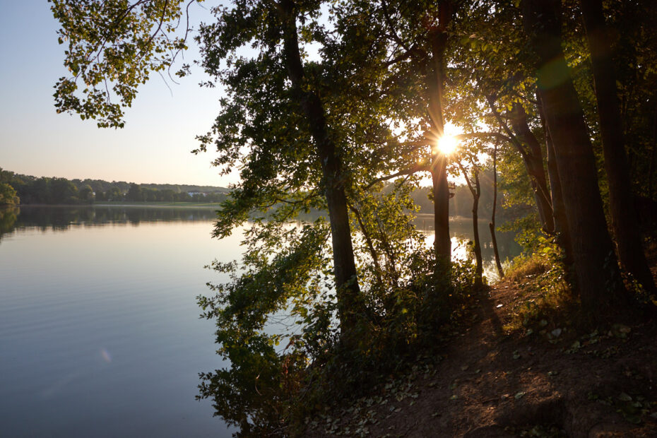 Schutterwald