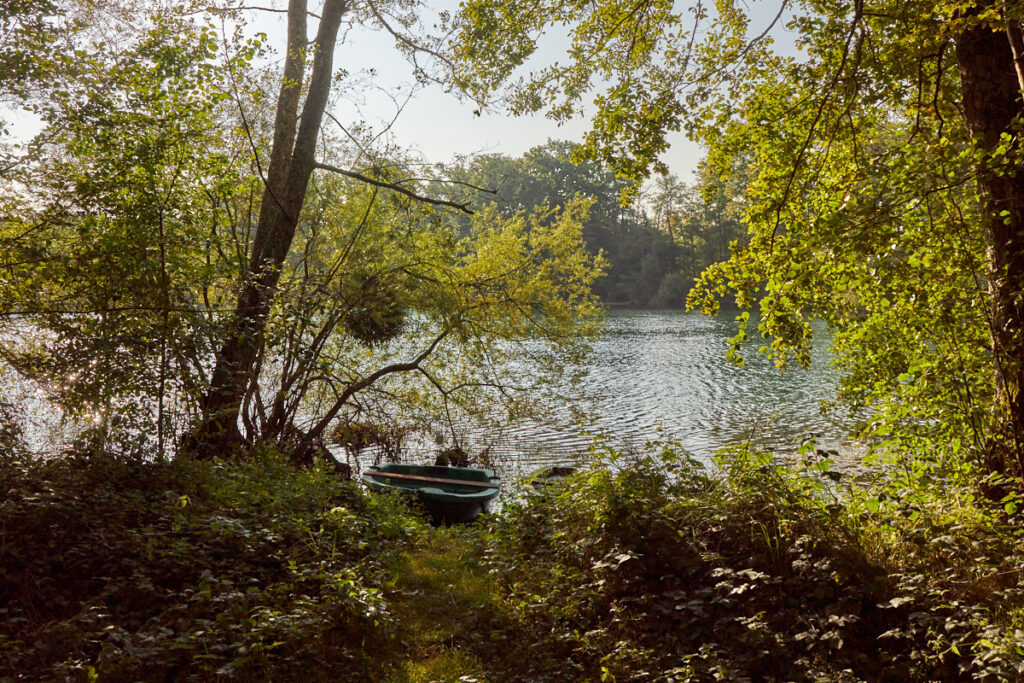 Schutterwald