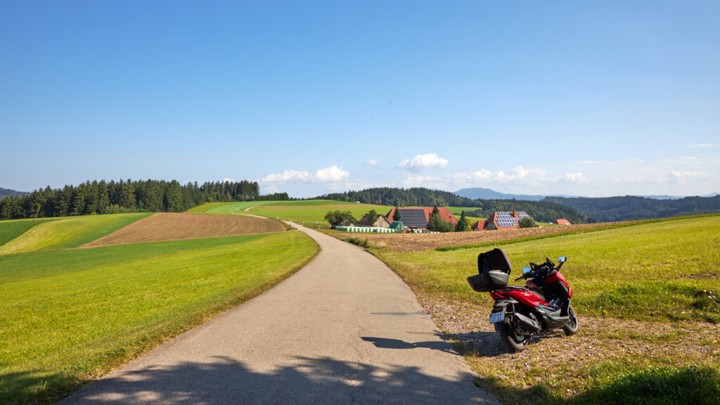 Biereck