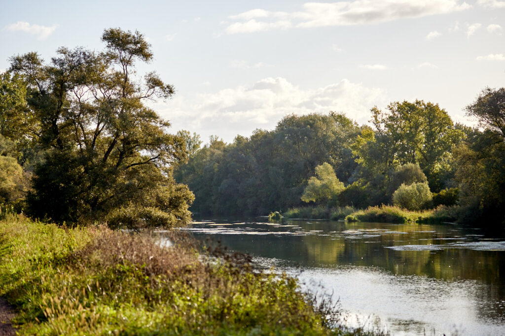 Verlockung am Rhein