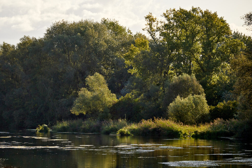 Verlockung am Rhein