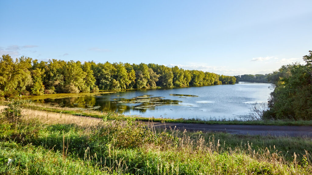 Verlockung am Rhein