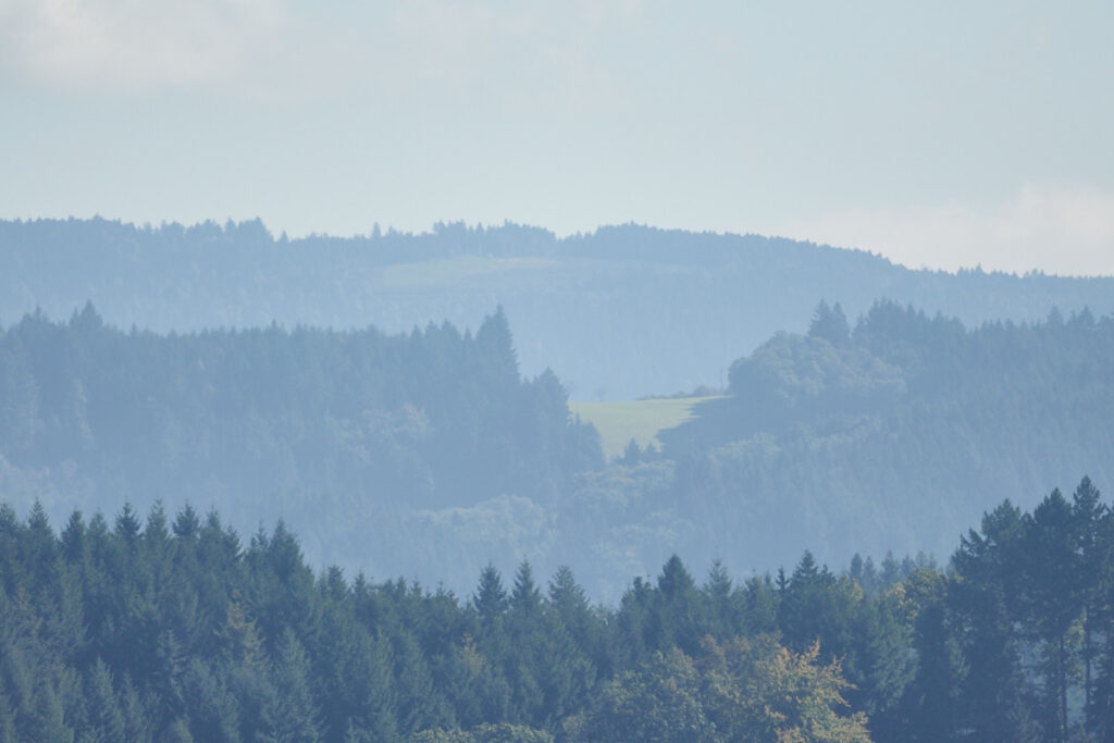 Schwarzwaldfahrt