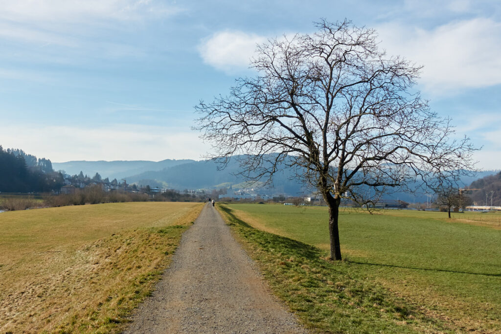 Haslach