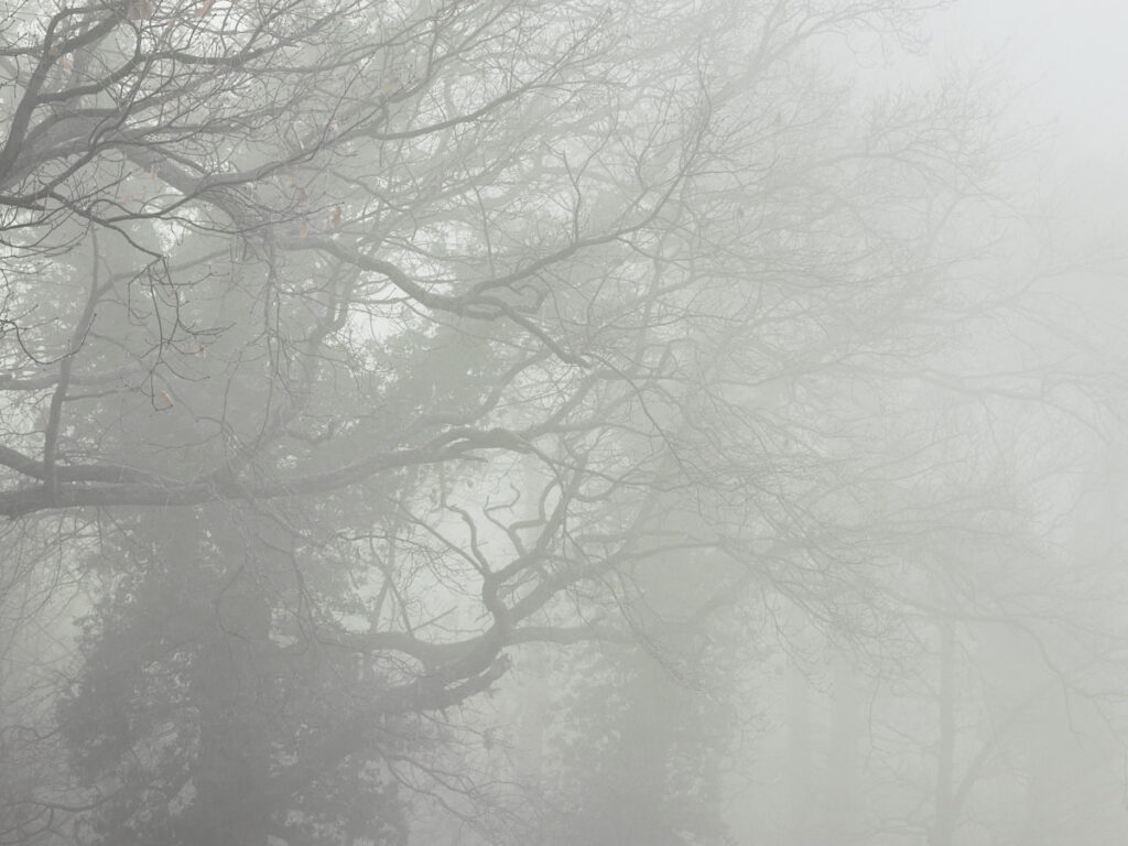 Nebel