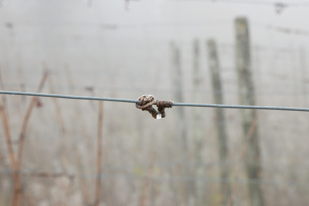 Nebel