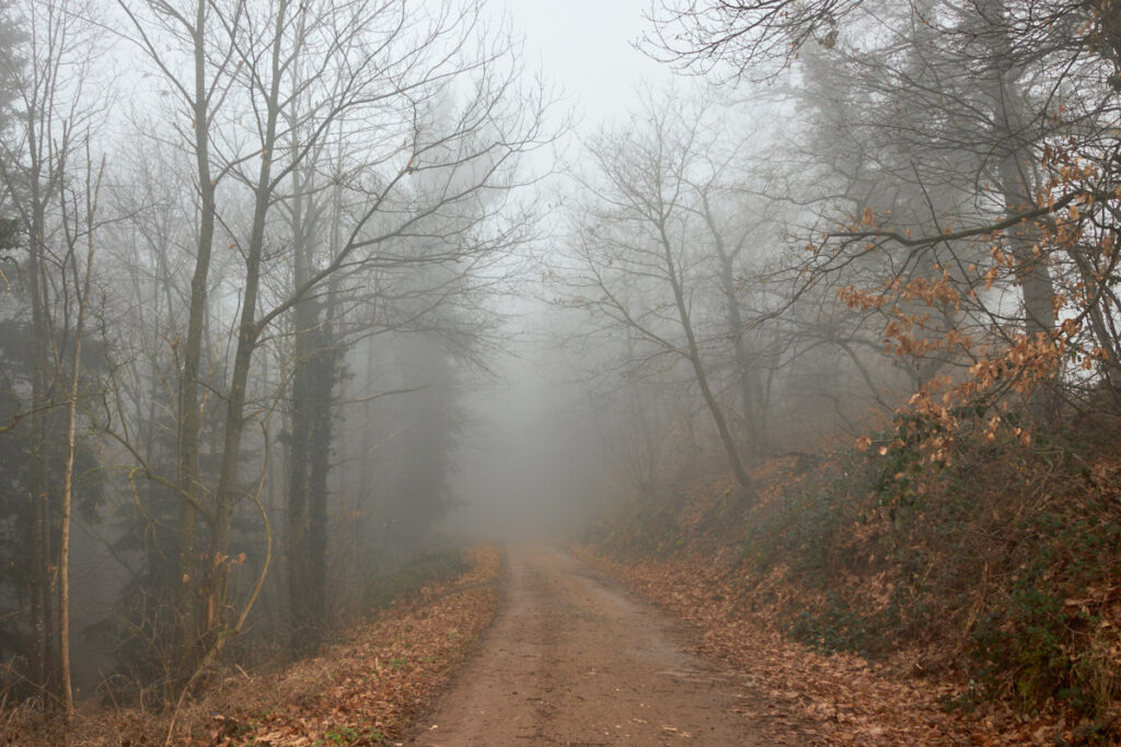 Nebel