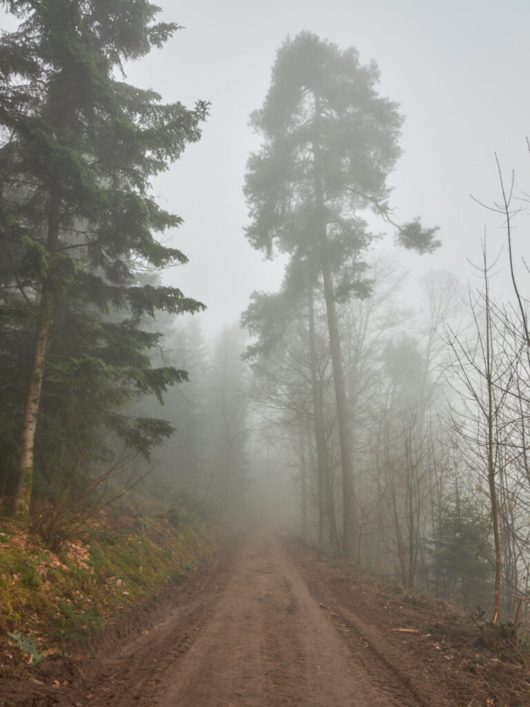 Nebel