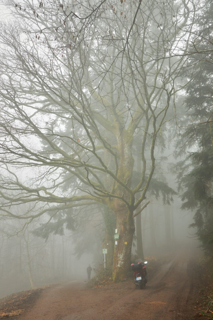 Nebel