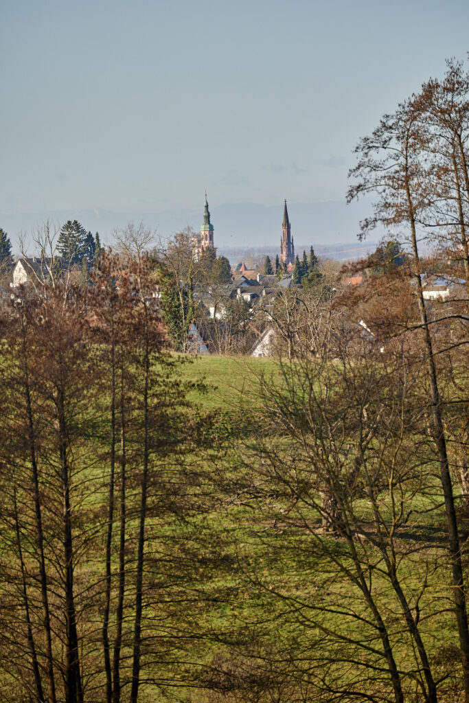 Talebuckel